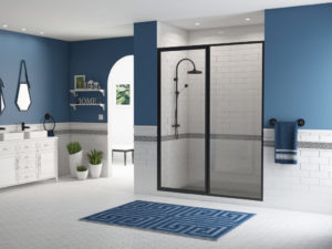 Legend black hinged glass shower door in a blue and white bathroom.